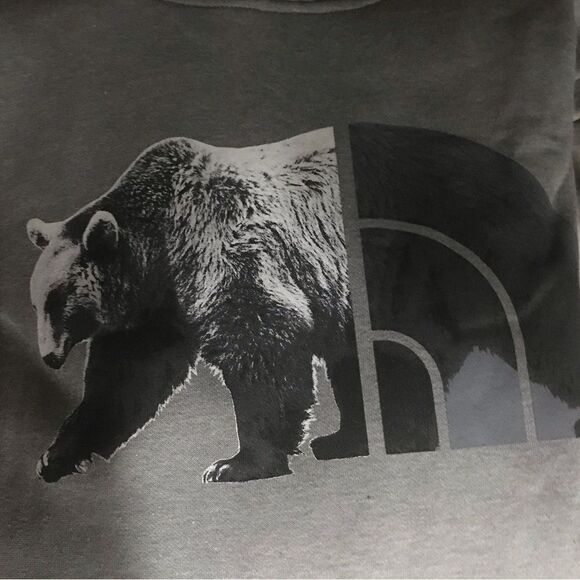 The North Face TNF™ Bear Pullover Hoodie Small - Picture 9 of 11